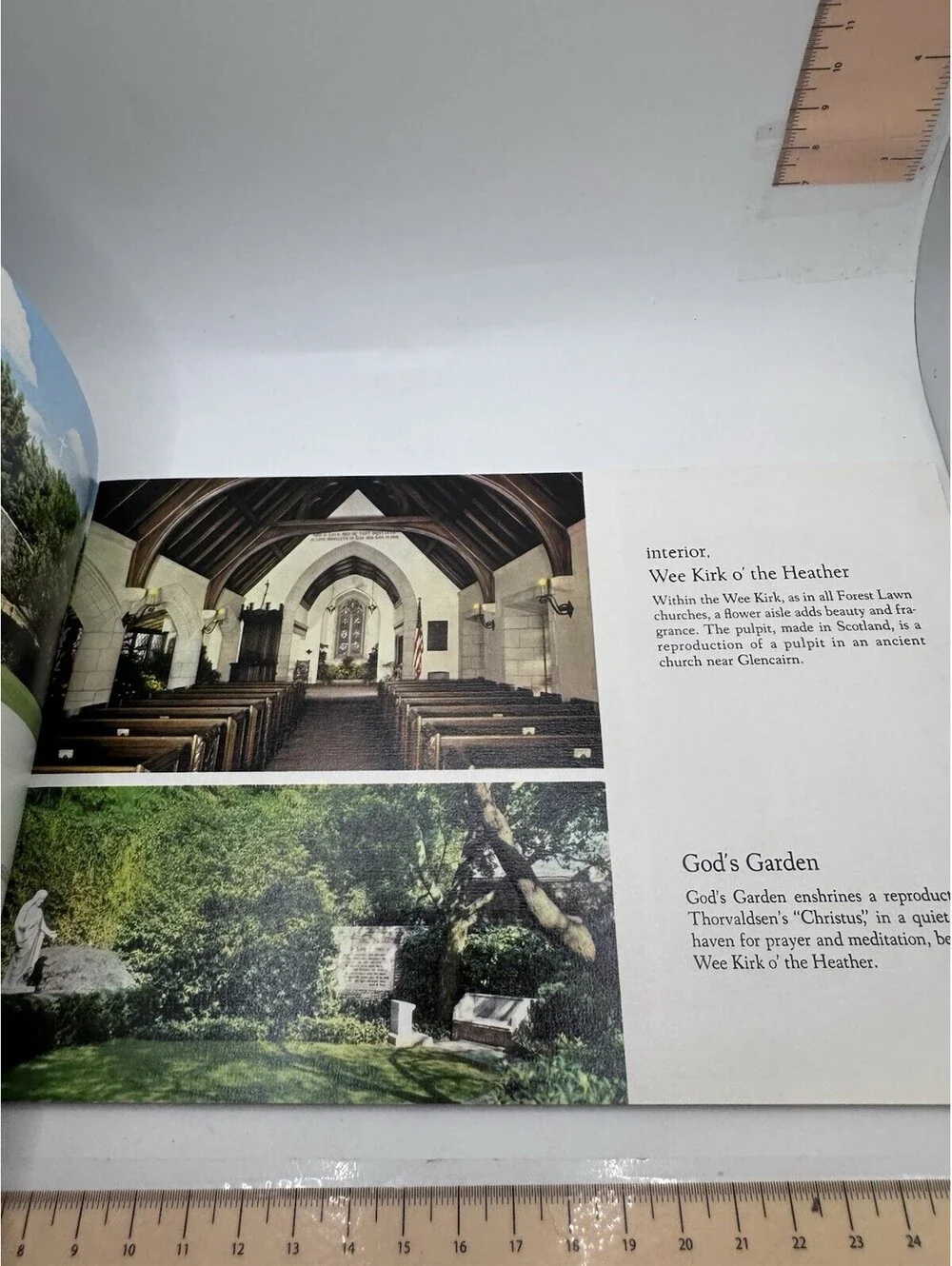 N/A forest lawn